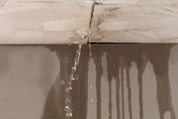 Professional Structural Drying technician working in Honomu, HI